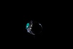 J1-scaled-1.jpg