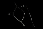 TLC05776-scaled-1.jpg