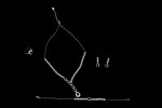 TLC05776-scaled-1.jpg