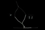 TLC05776-scaled-1.jpg