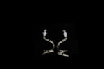 TLC05856-scaled-1.jpg