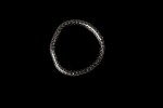 TLC05990-scaled-1.jpg